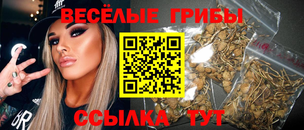 Галлюциногенные грибы мицелий  где продают   Холмск  Псилоцибиновые грибы Psilocybe  Вход с VPN 