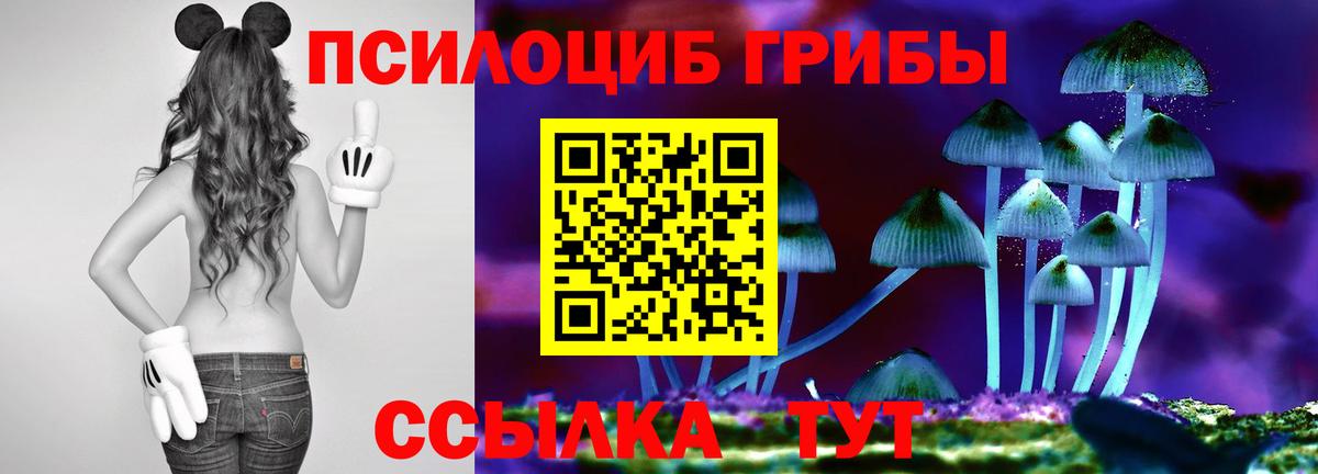 Псилоцибиновые грибы прущие грибы Холмск